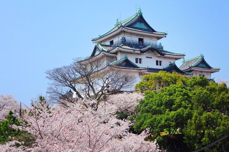 Lâu đài Wakayama và Vườn Koyo Keitei 4