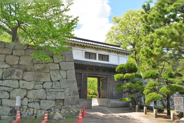 ปราสาทวากายามะ และสวนโคโยเคเค (Wakayama Castle & Koyokei Garden) 8