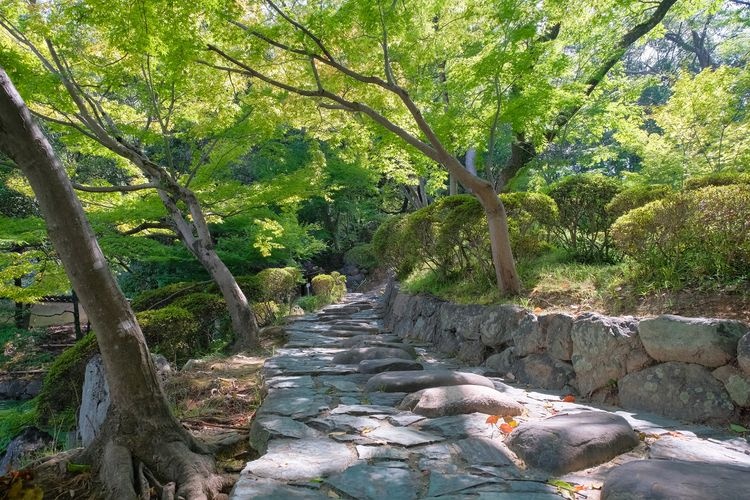 ปราสาทวากายามะ และสวนโคโยเคเค (Wakayama Castle & Koyokei Garden) 9