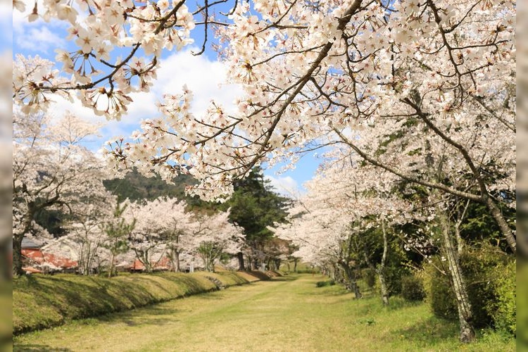 鷲原八幡宮