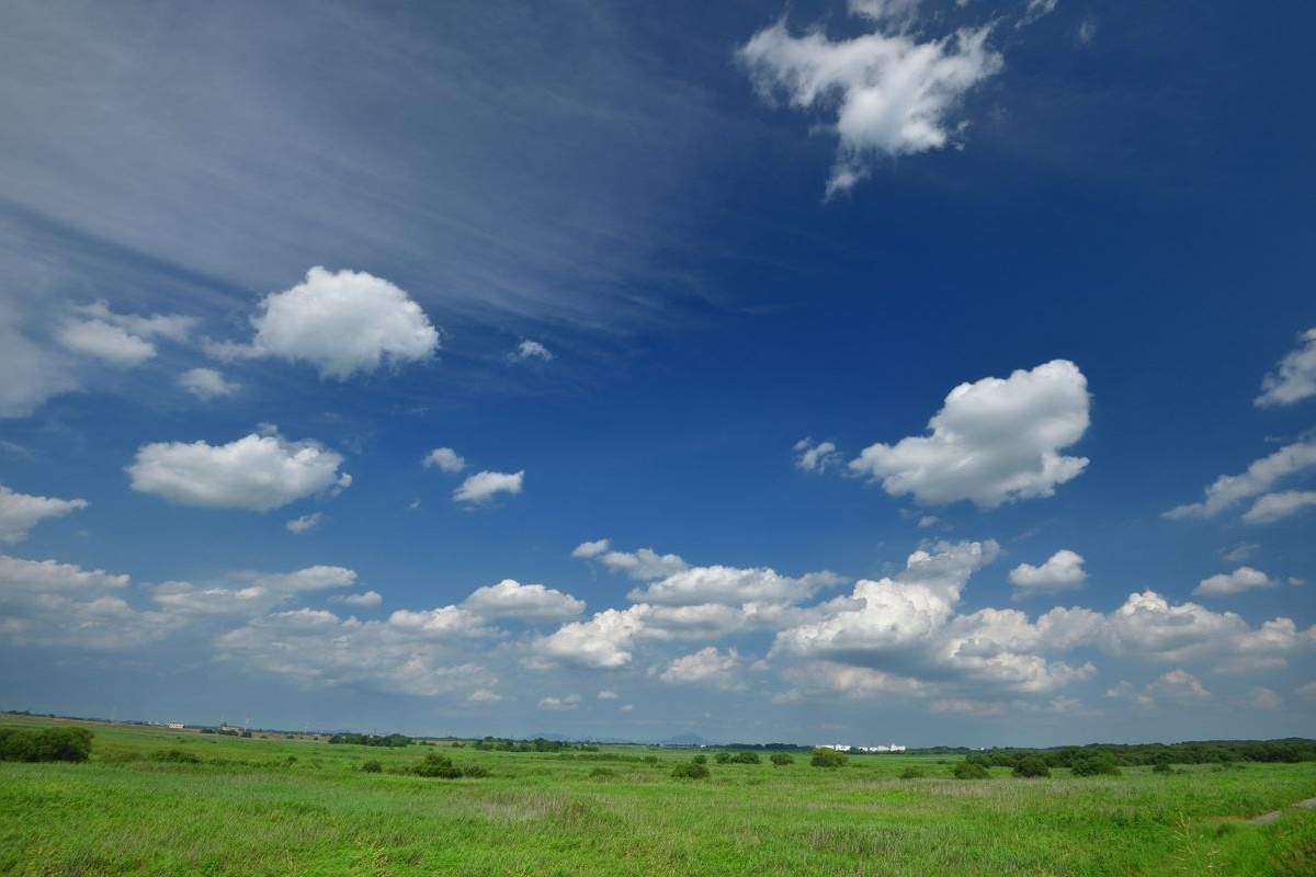 Watarase Floodplain