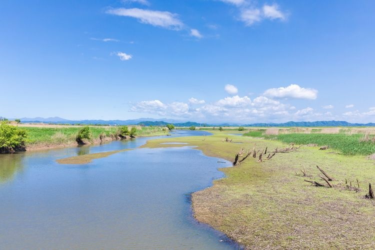 Watarase Floodplain