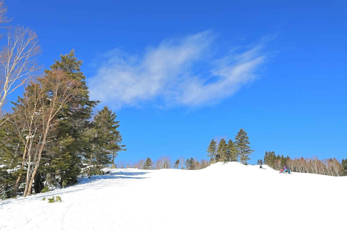 志賀高原 焼額山スキー場