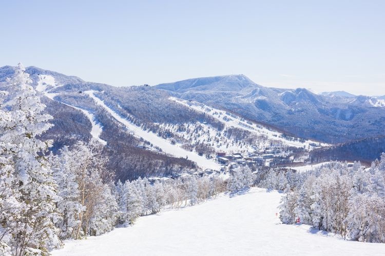 志賀高原 焼額山スキー場