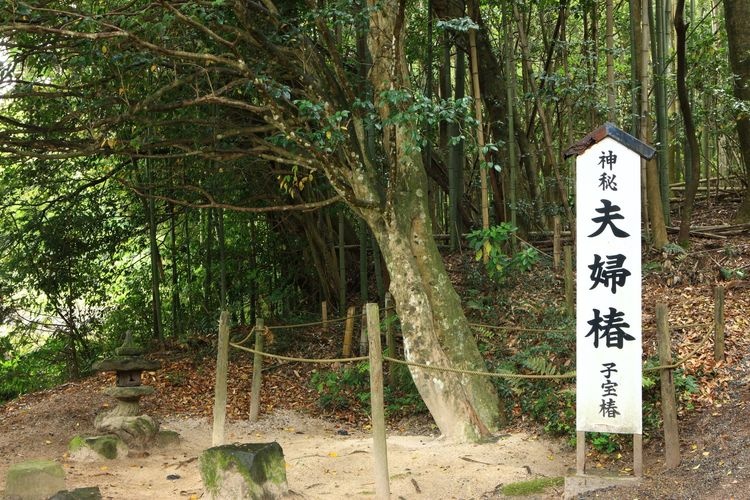 八重垣神社
