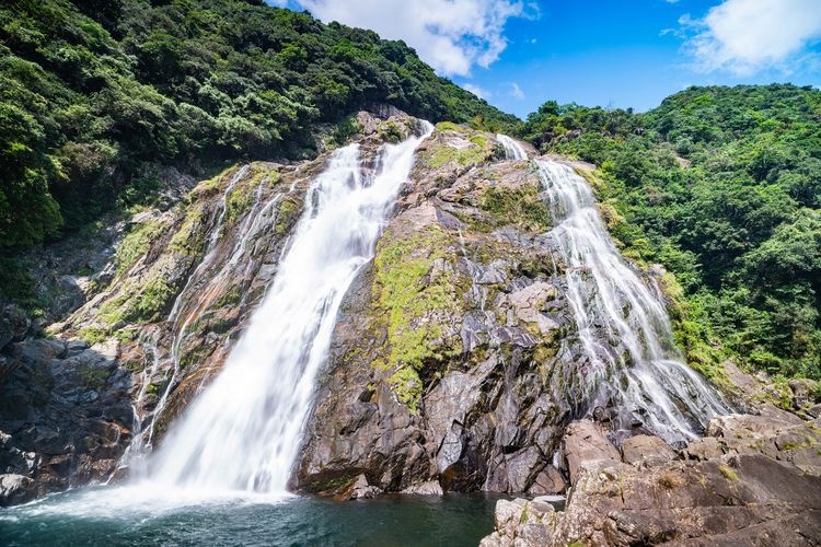 Yakushima 2