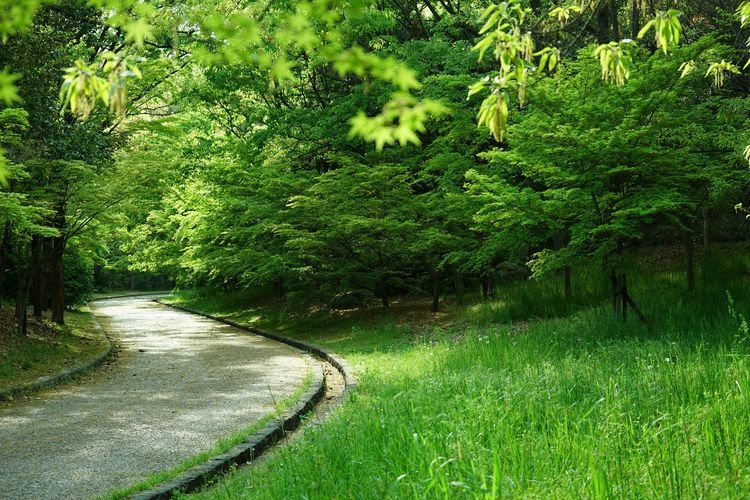 山田池公園 4