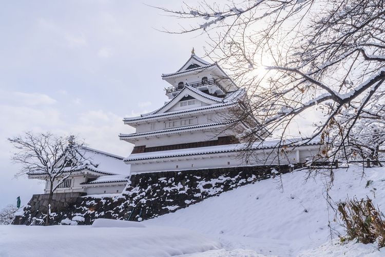 Kastil Kaminoyama (Taman Nasional Tsukioka) 2