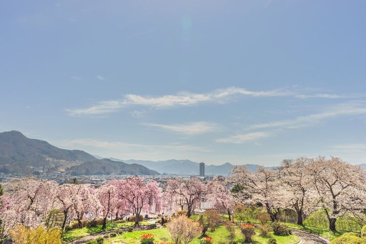 Kastil Kaminoyama (Taman Nasional Tsukioka) 3