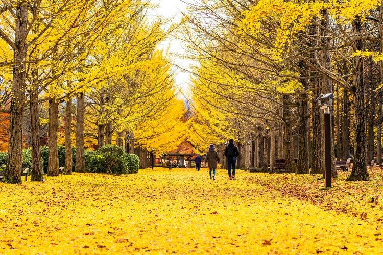山形縣綜合運動公園