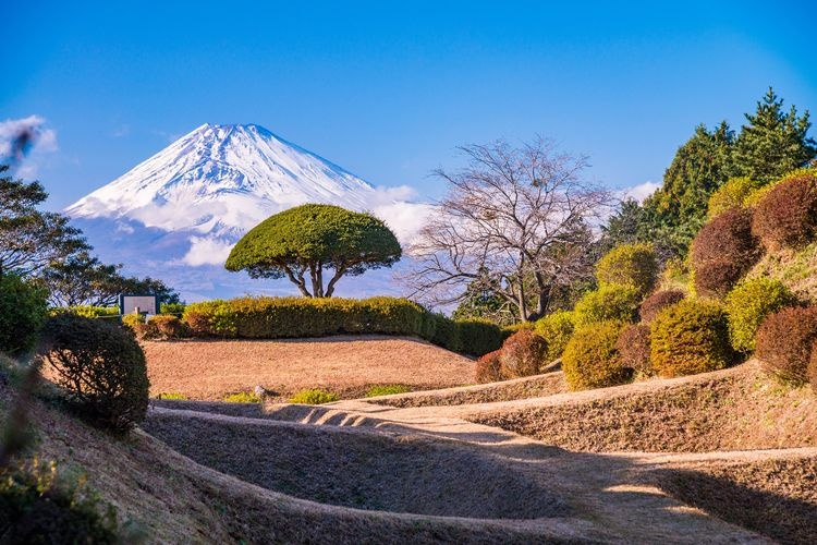 山中城跡 2