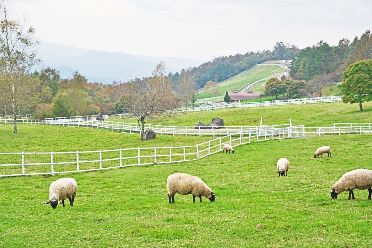 Parco Makiba della Prefettura di Yamanashi