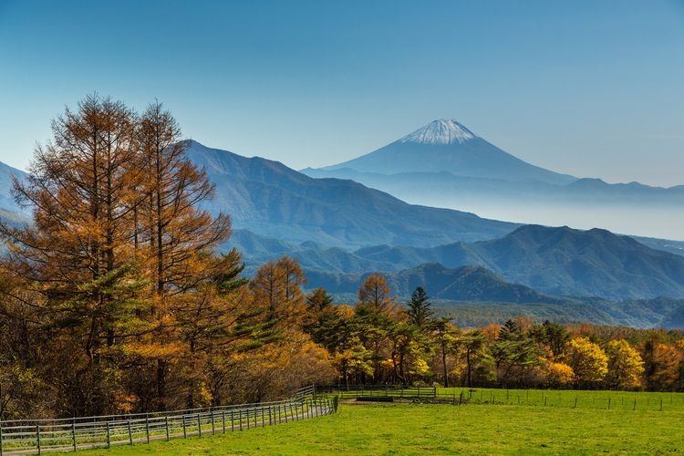 Parco Makiba della Prefettura di Yamanashi 2