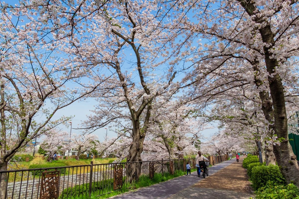 Yamasakigawa Shiki-no-michi (Four Seasons Path)