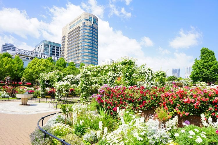 Yamashita Park