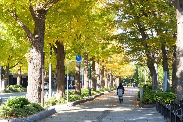 山下公園 2