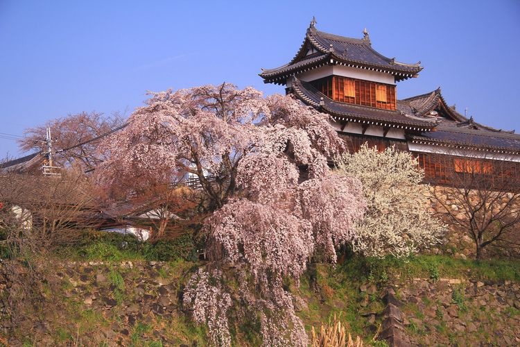 Château de Yamato-Koriyama (Château de Koriyama) 2