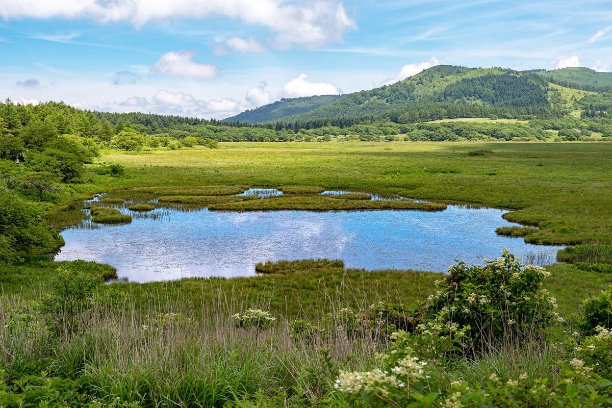 Yashimagahara Marsh (Kirigamine)