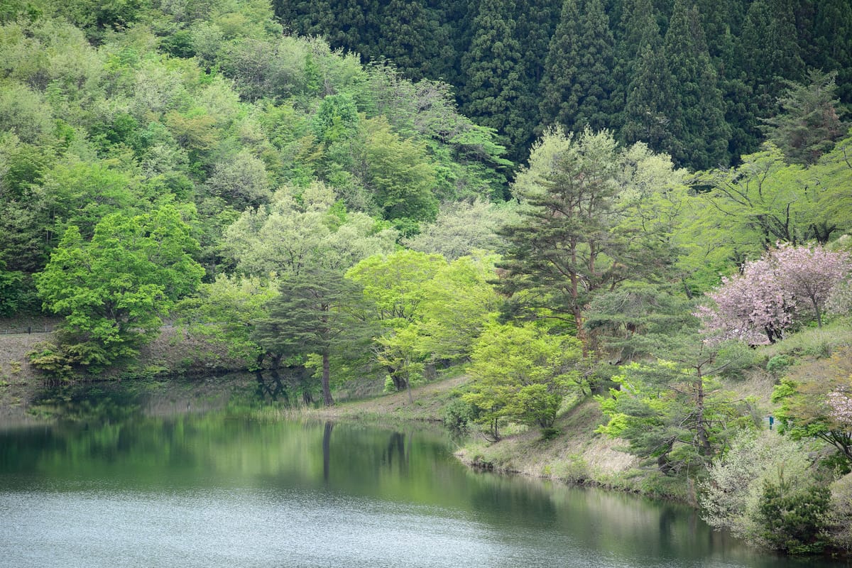 八塩いこいの森 (Yashio Ikkoi no Mori)
