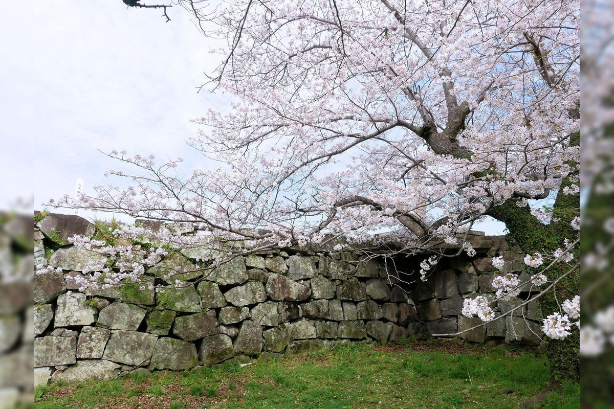 Yatsushiro Castle Ruins
