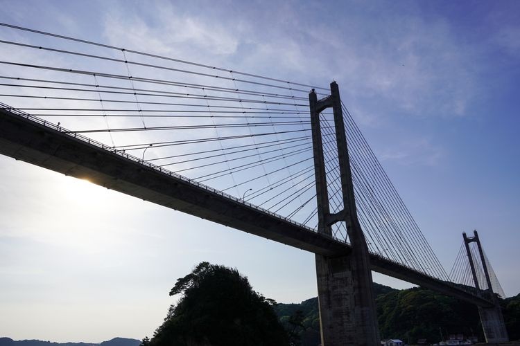 呼子大橋