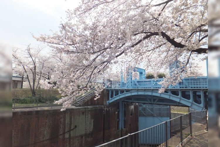 淀川旧分流施設  3