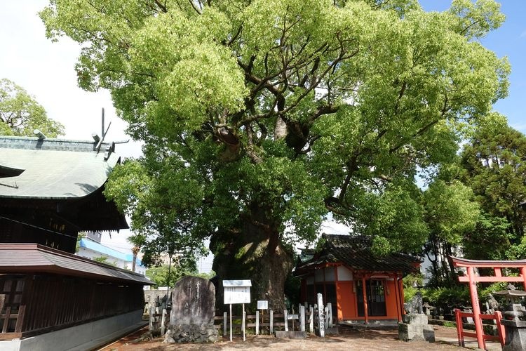 요가 신사 (Yoga Shrine)