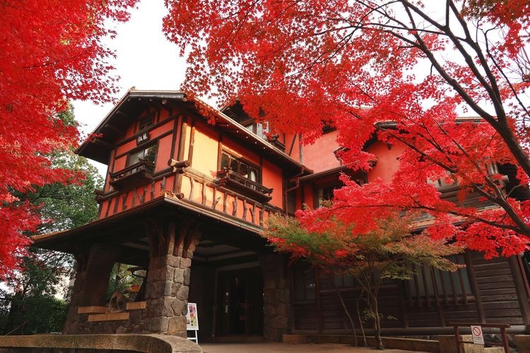 Yokiso (Kakuo-yama) 1