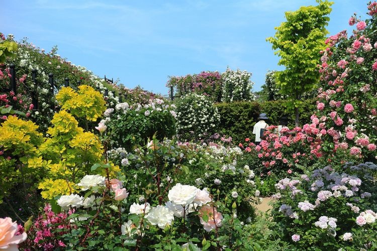 横滨英式花园 (Yokohama English Garden) 3