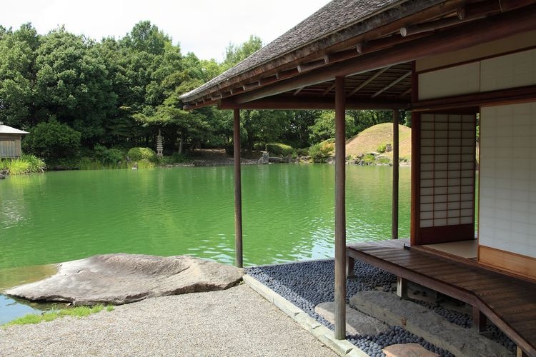 養浩館庭園 8