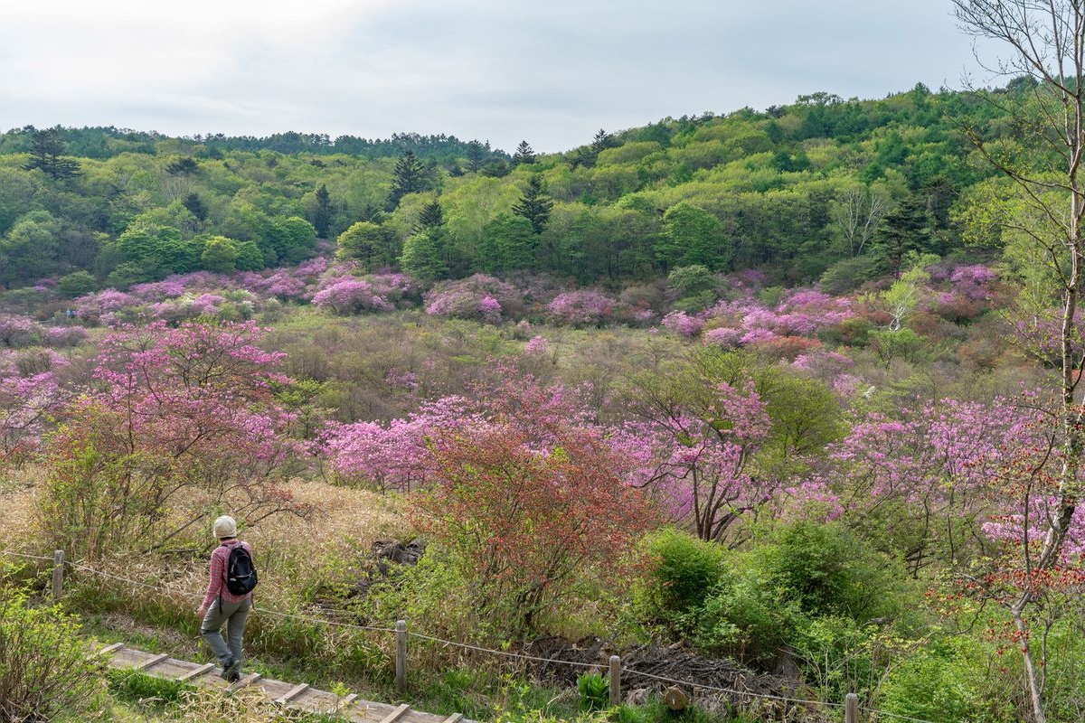 Yokone Kogen Plateau