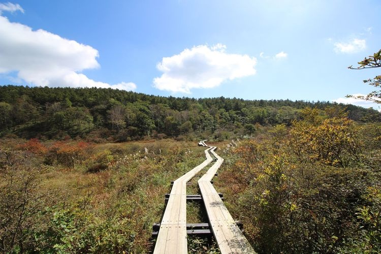 橫根高原