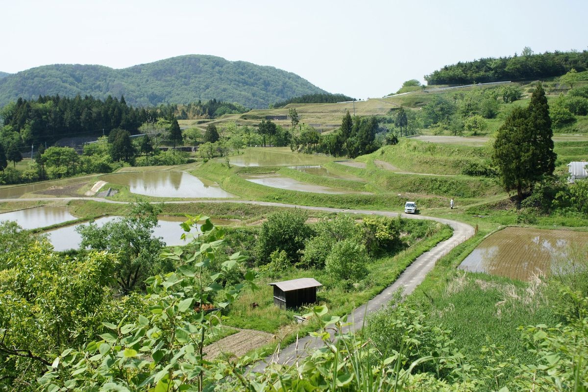 Yokoo no Tanada