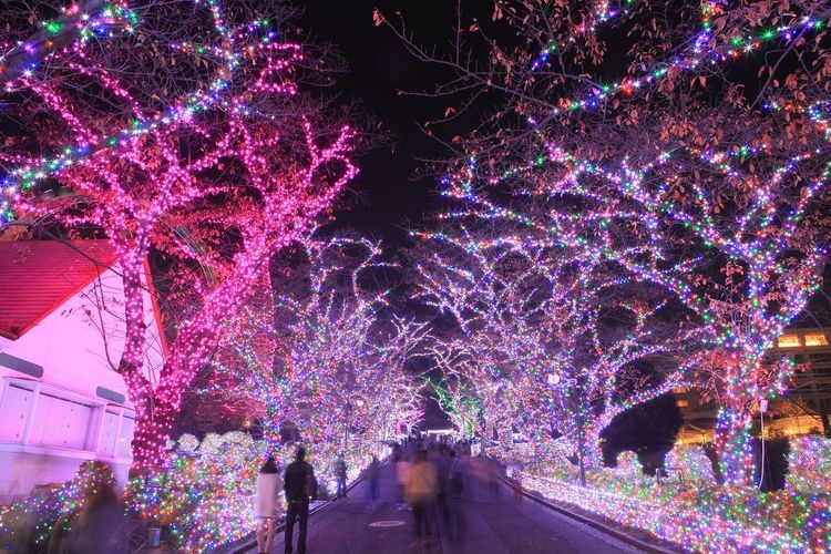 Yomiuriland 2