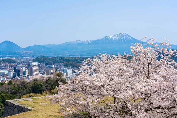 โบราณสถานปราสาทโยนาโกะ (Yonago Castle Ruins) 2
