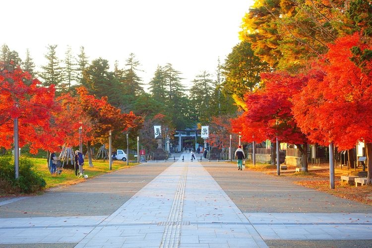 米沢城（松が岬公園） 2