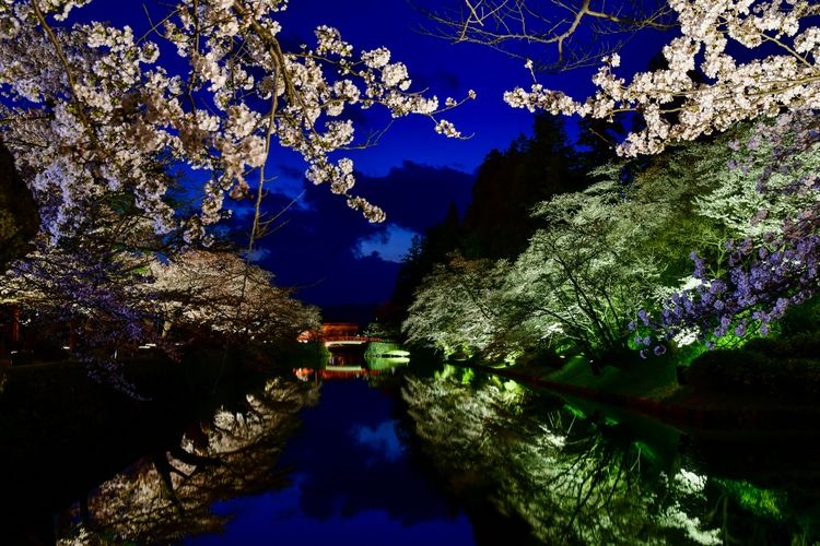 米沢城（松が岬公園） 3