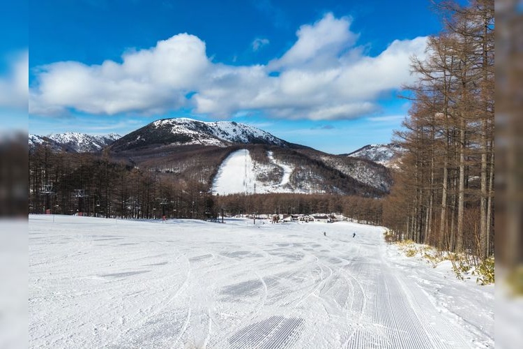湯之丸滑雪場