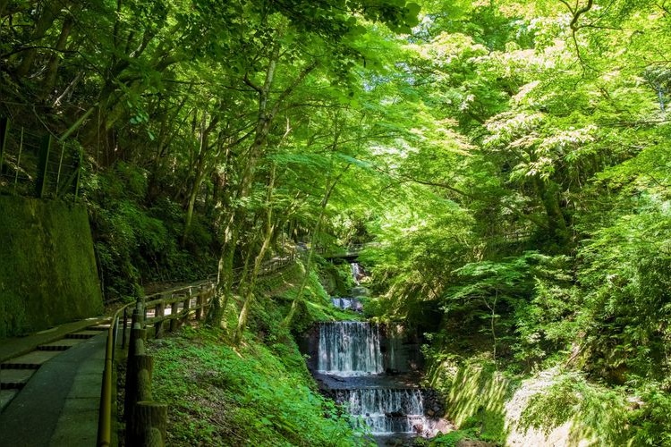 น้ำตกโยโร (Yoro Falls)