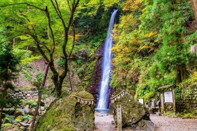 น้ำตกโยโร (Yoro Falls) 2