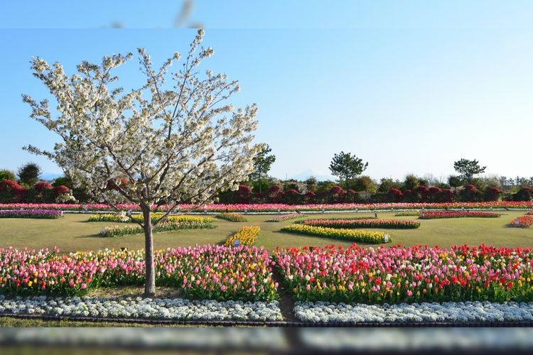 Yoshida Park