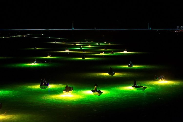 Yoshino River Shirauo (Glass Eel) Fishing