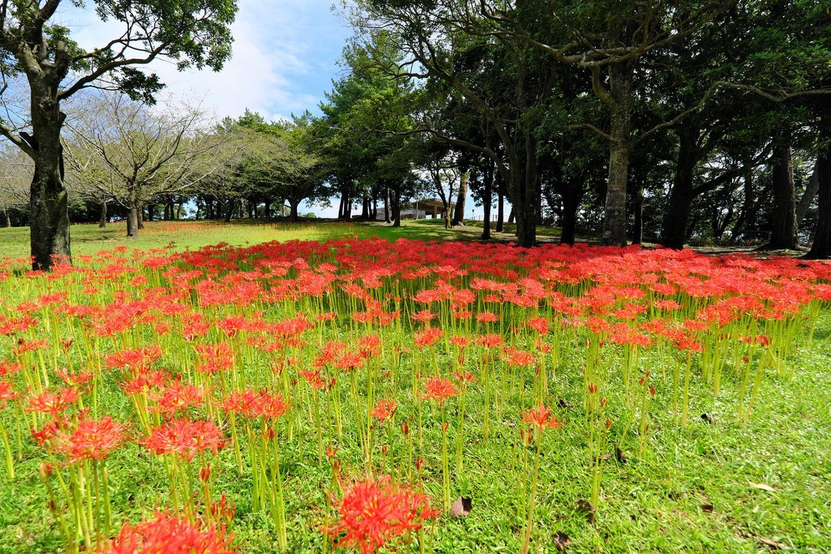 Yoshino Park