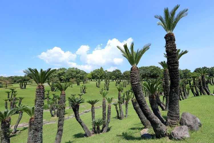 Yoshino Park