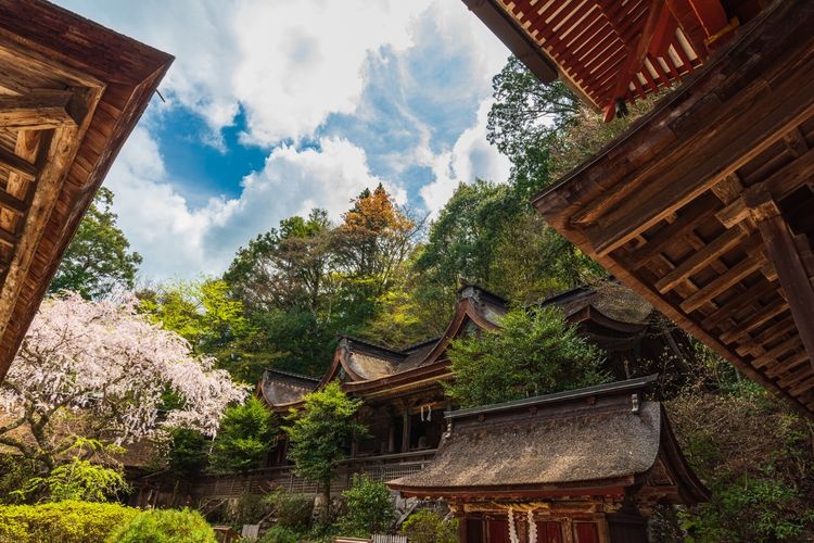 ศาลเจ้า Yoshino Suibun Jinja