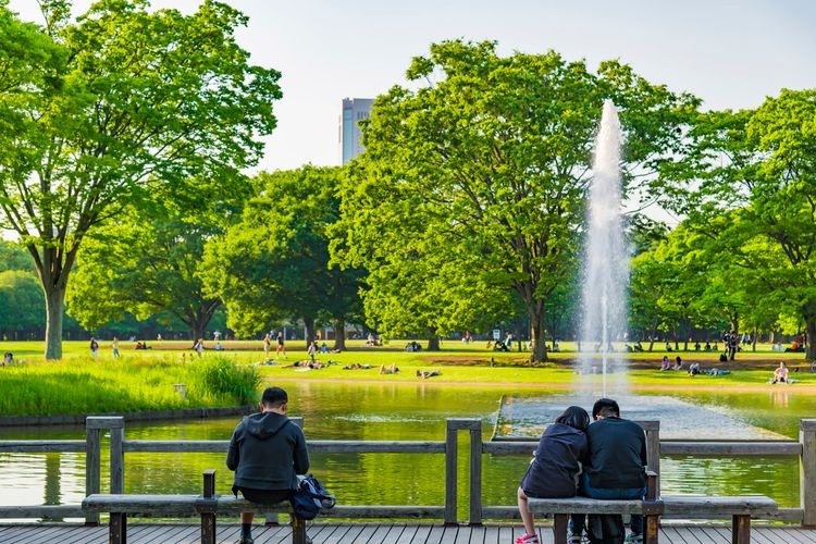 Yoyogi Park 4