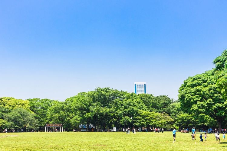 Yoyogi Park 6