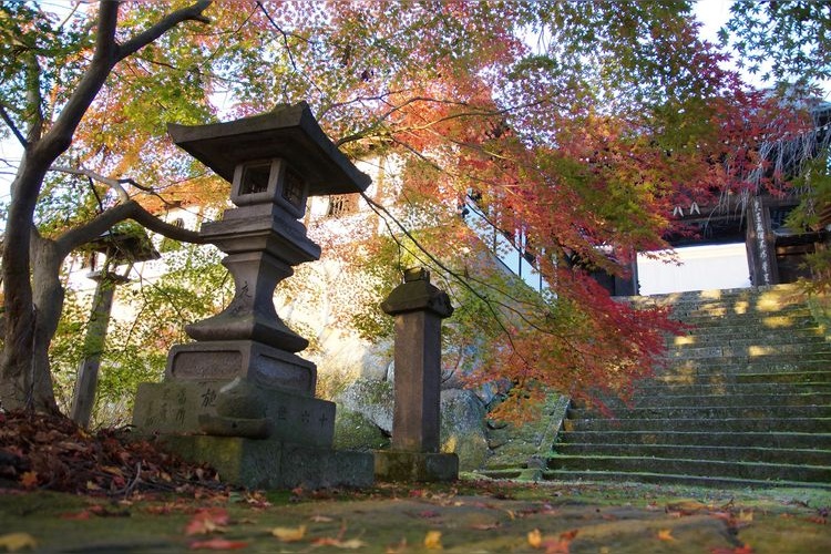 구겐지 (谷厳寺) 3