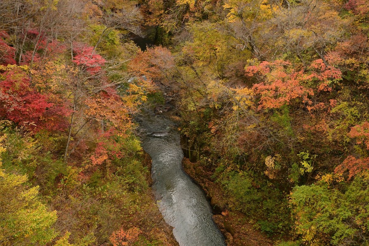 雪割溪谷（雪割橋）