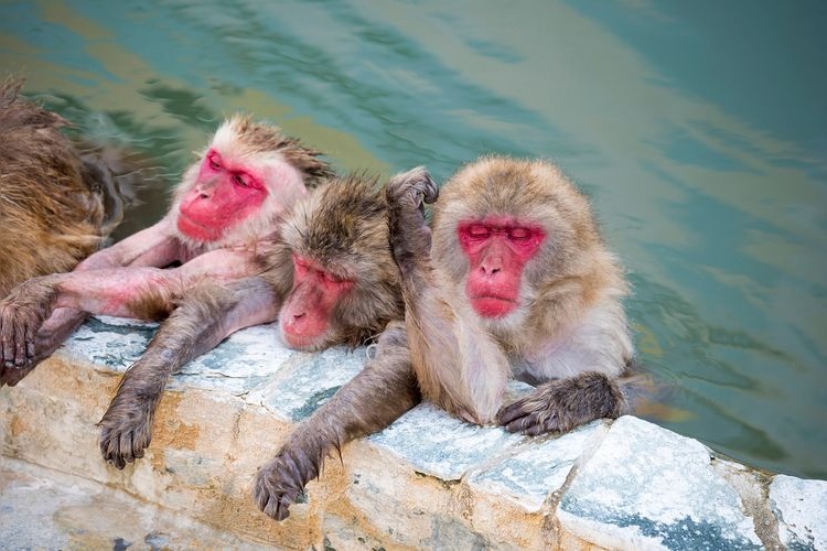 Yunokawa Onsen 3